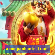 acompanhante trans santos sp